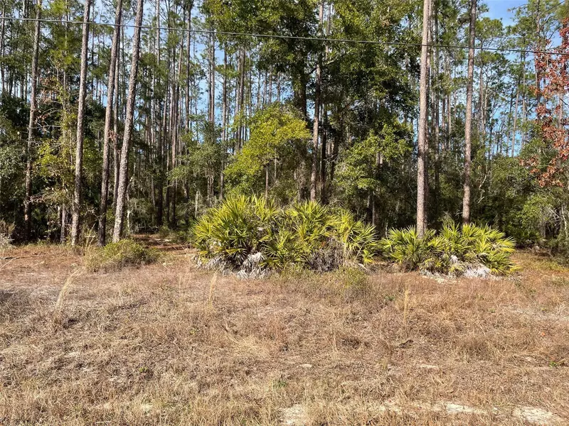 LOT 23 SW TIGER LAKE BLVD W, Dunnellon, FL 34431