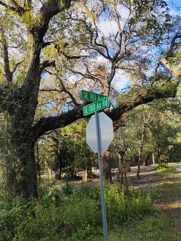 Ocklawaha, FL 32179,7626 SE 183RD AVENUE RD