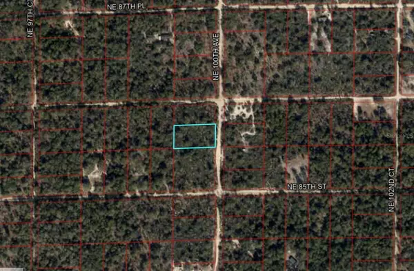 TBD NE 100TH AVE, Bronson, FL 32621