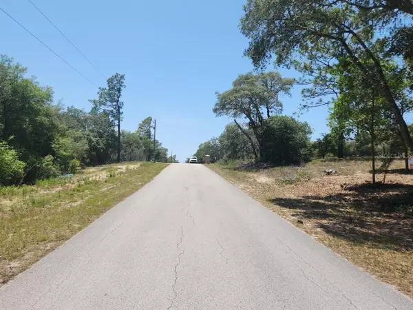 Dunnellon, FL 34432,Lot 18 SW PINE BLUFFS RD