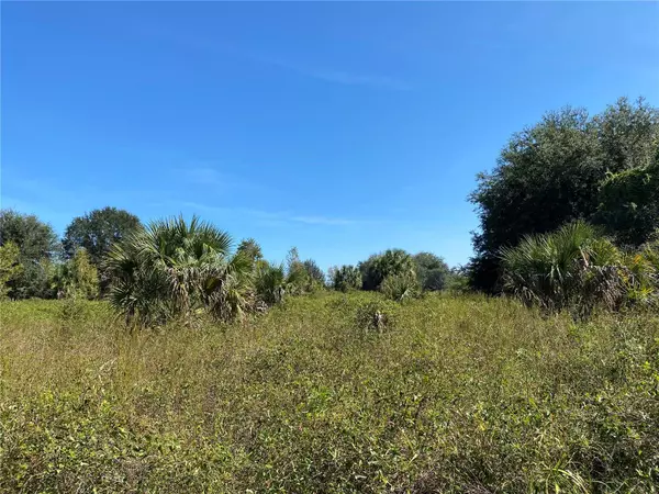 Citra, FL 32113,xxxx NE 3RD CT