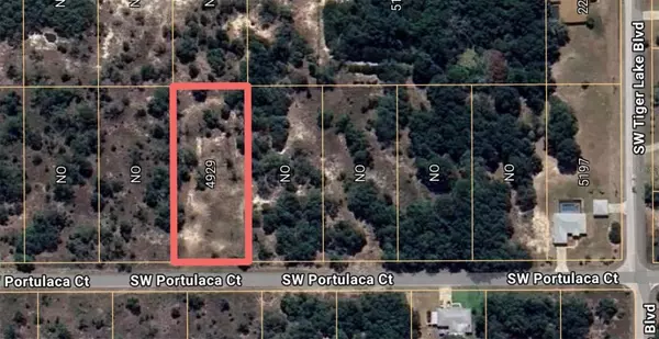 Dunnellon, FL 34431,4929 SW PORTULACA CT