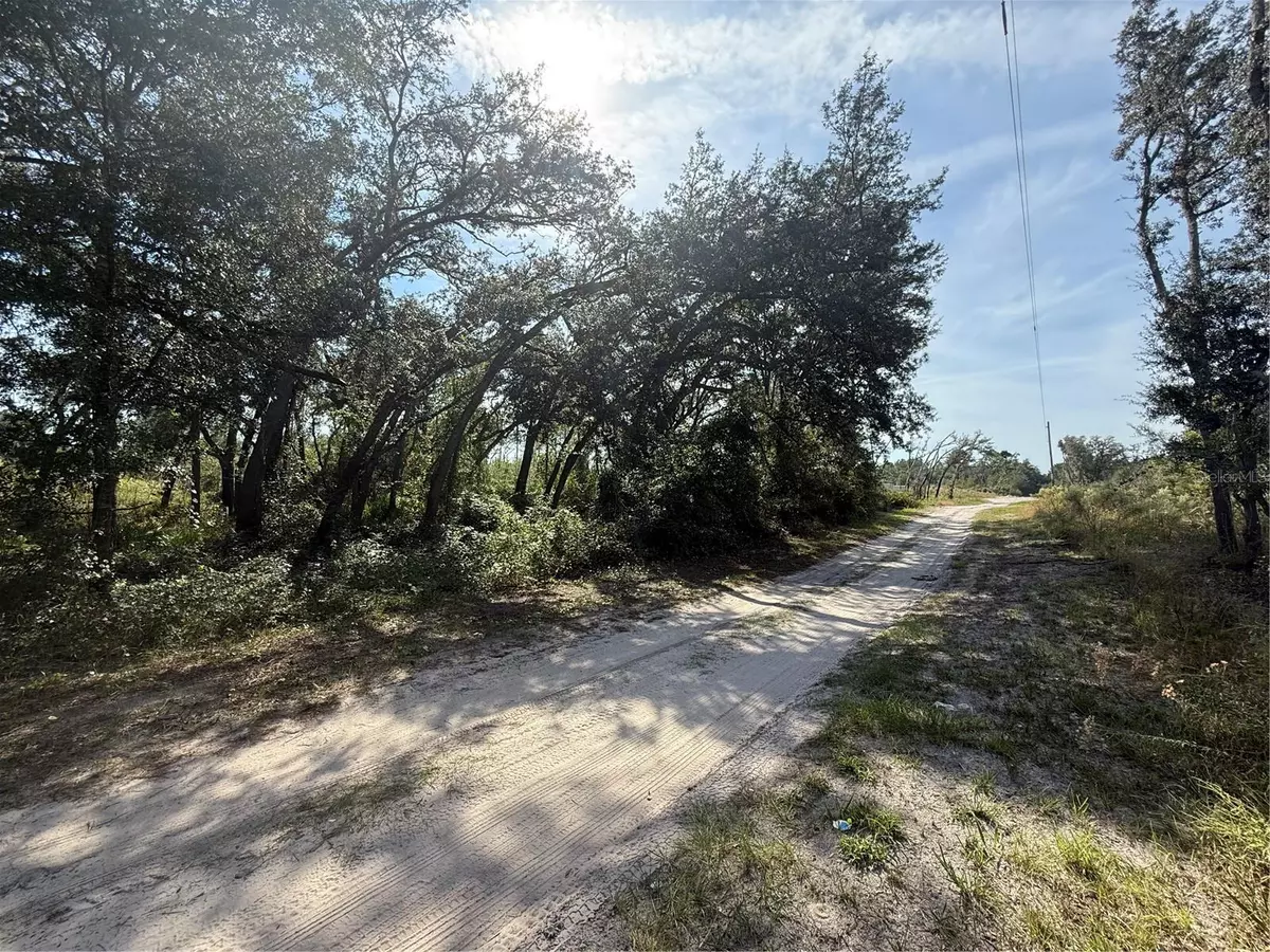 Dunnellon, FL 34432,0 SW 157TH LN