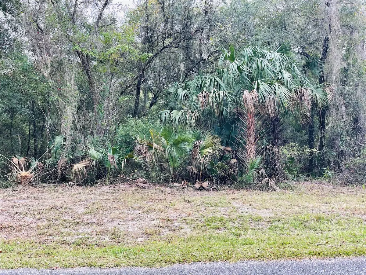 Fort Mc Coy, FL 32134,TBD NE 245TH STREET RD