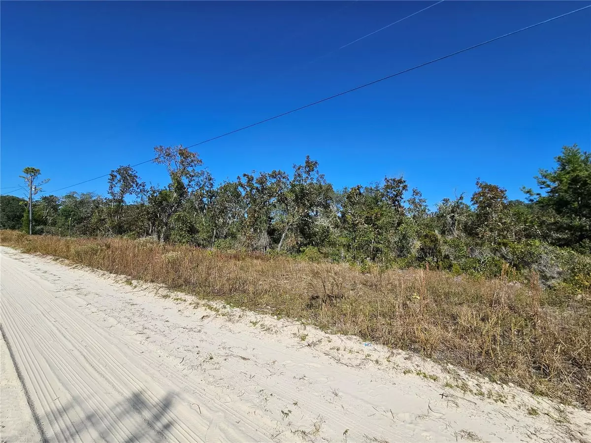 Williston, FL 32696,TBD NE 66TH LN