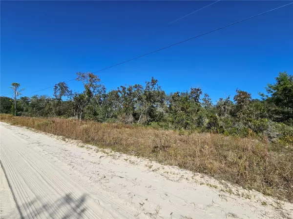 Williston, FL 32696,TBD NE 66TH LN
