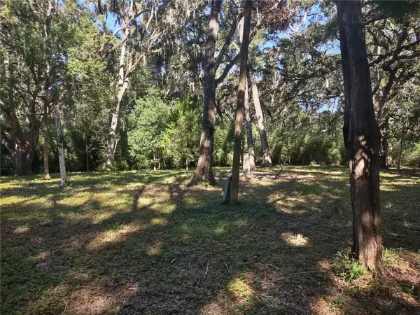 Williston, FL 32696,1590 SE 182ND TER