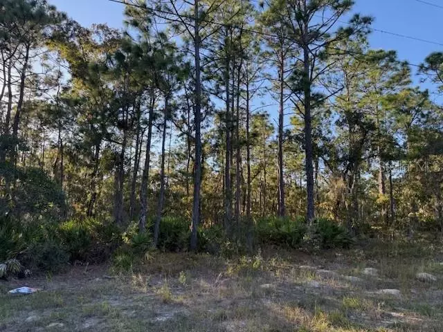 2862 N STAMPEDE DR, Beverly Hills, FL 34465