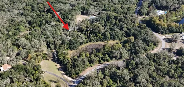 Bushnell, FL 33513,8735 CR 631A