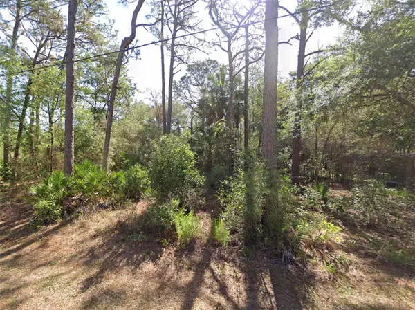 Crystal River, FL 34428,8367 N FIREFLY TER