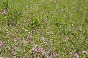 Ocala, FL 34472,39 LOCUST PL