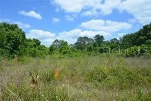 Ocala, FL 34472,39 LOCUST PL