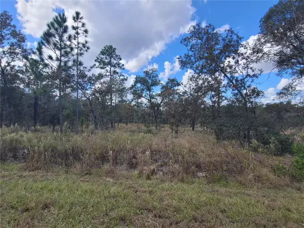 Dunnellon, FL 34431,SW PERSIMMON LN