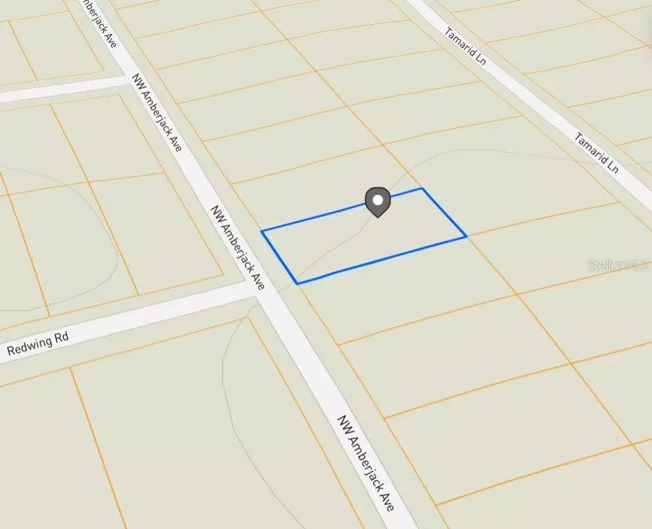 Dunnellon, FL 34431,LOT 53 NW AMBERJACK AVE