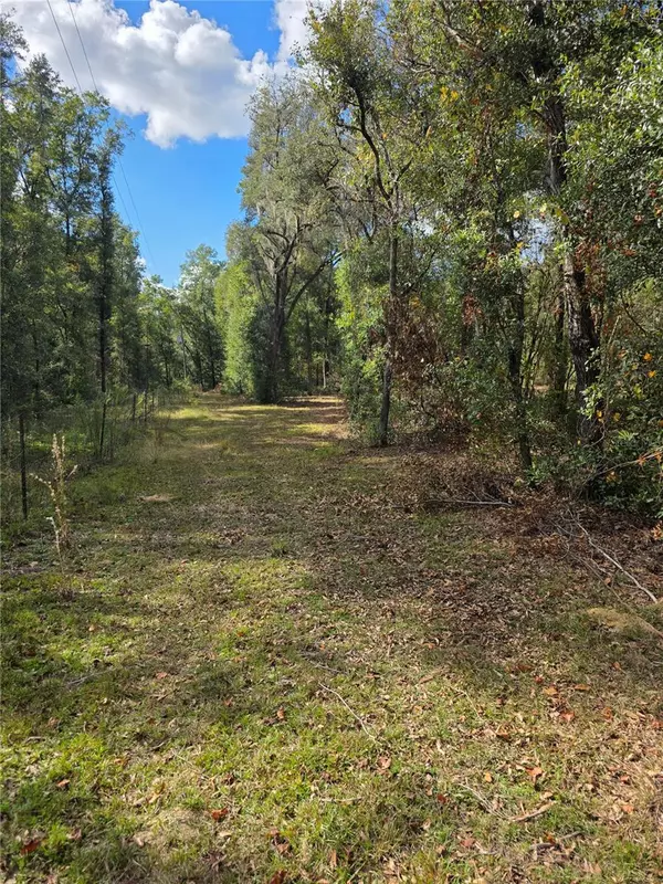 Archer, FL 32618,TBD NE 111TH AVE