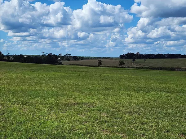 TBD SE 150TH AVE, Morriston, FL 32668