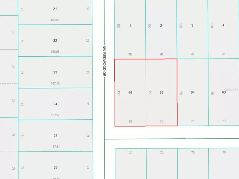 LOTS 65 & 66 NW BANYAN LN, Dunnellon, FL 34431