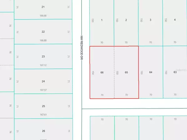 LOTS 65 & 66 NW BANYAN LN, Dunnellon, FL 34431