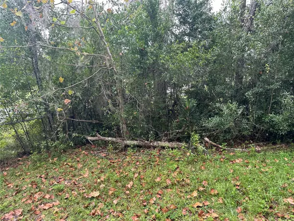 Inverness, FL 34453,2713 ADAMS ST W