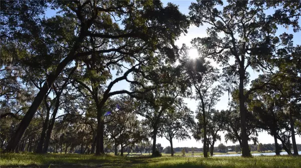 OFF HWY 301, Summerfield, FL 34491