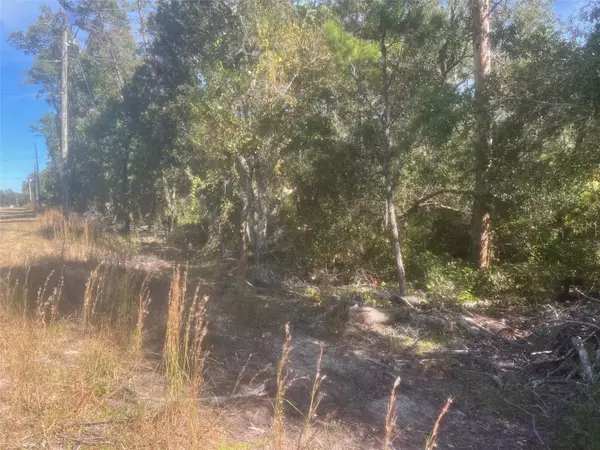 Ocklawaha, FL 32179,BAY RD