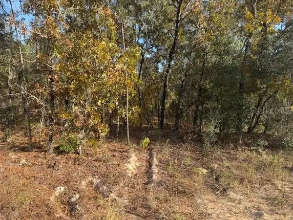 Dunnellon, FL 34432,00 SW 136TH TER