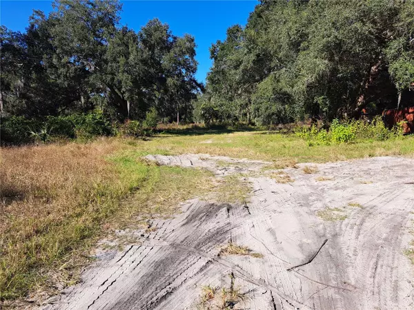 Summerfield, FL 34491,11309 SE HWY 42