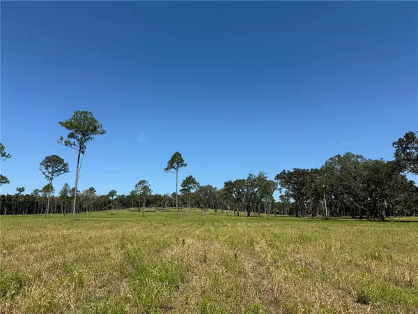 Micanopy, FL 32667,DR #8 (10ac) NW 193RD ST