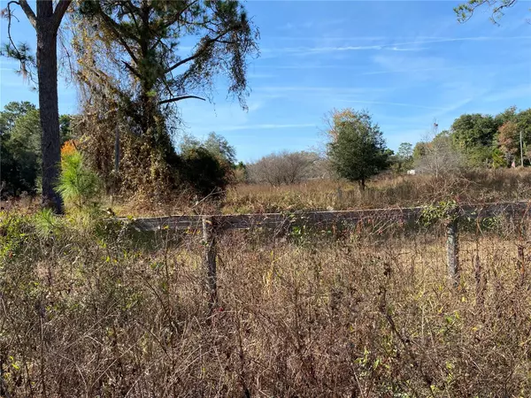 Citra, FL 32113,19690 NE 73 TER