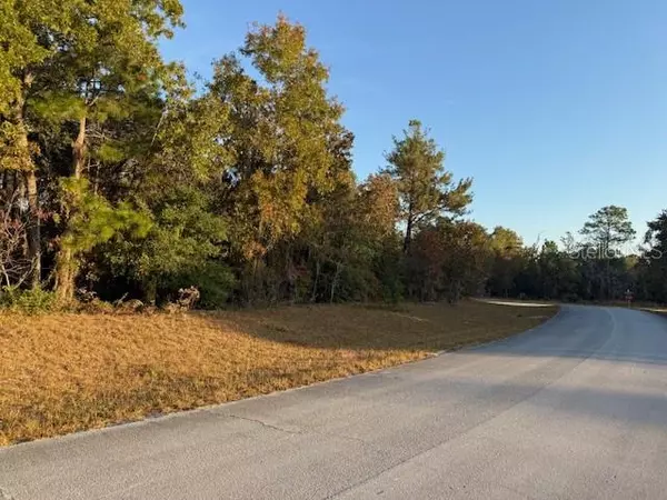 Ocala, FL 34473,TBD SW 138TH LN