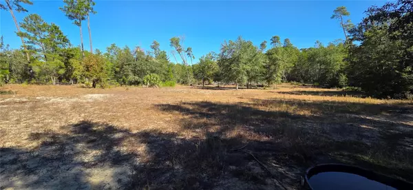 Fort Mc Coy, FL 32134,238 CEMETERY RD