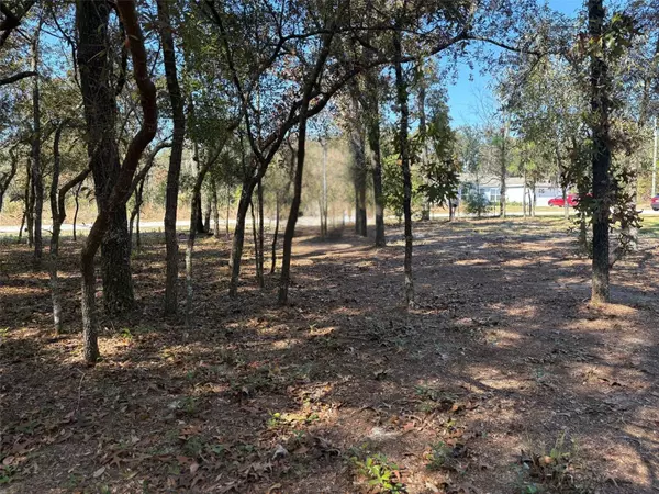 Citrus Springs, FL 34434,10079 N RUTH TER