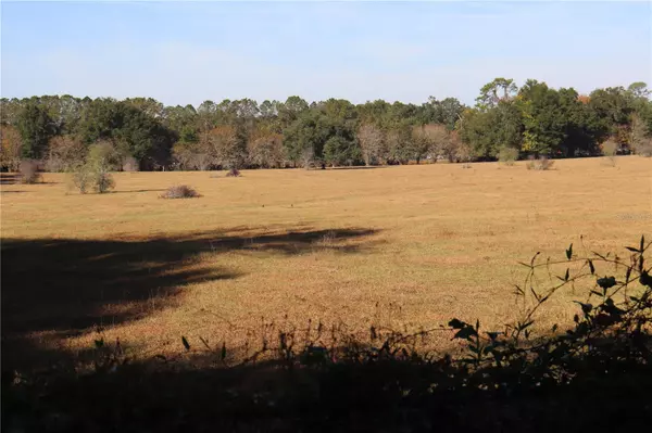 Ocala, FL 34476,8340 SW 35TH AVE