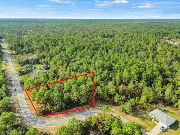 Citrus Springs, FL 34433,3873 W FINDLAY ST