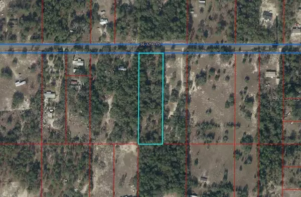 Morriston, FL 32668,11550 SE 32ND PL