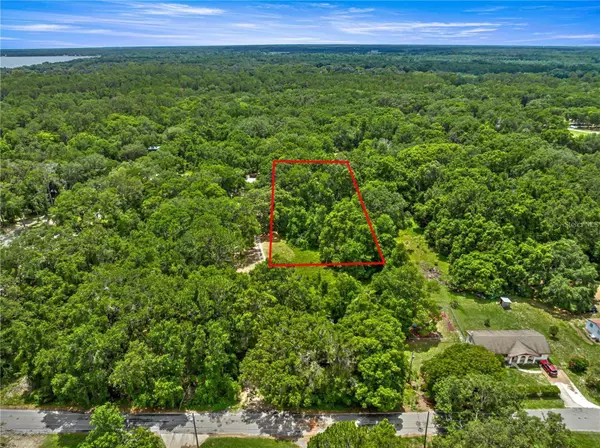 Ocklawaha, FL 32179,0 SE 140TH TERRACE TER