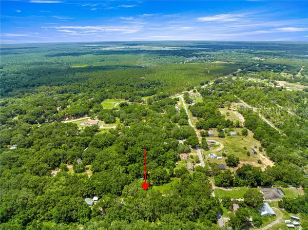 Ocklawaha, FL 32179,0 SE 140TH TERRACE TER