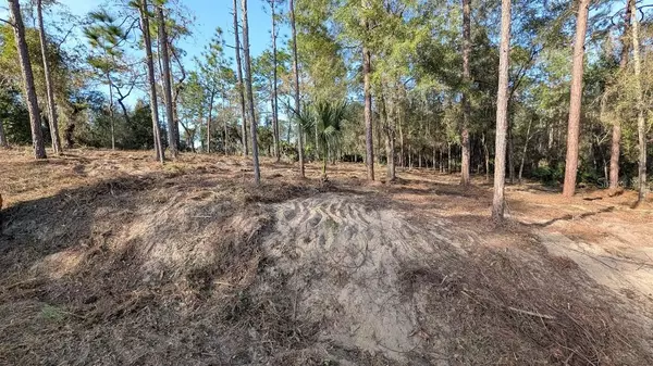 Ocala, FL 34481,SW 53RD ST