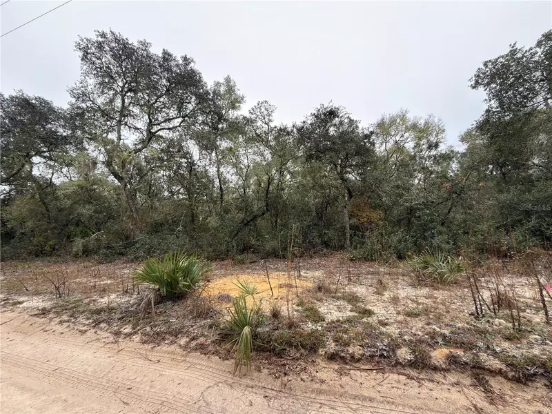 TBD NE 234TH PL, Fort Mc Coy, FL 32134