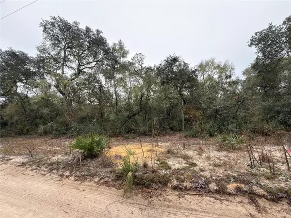 TBD NE 234TH PL, Fort Mc Coy, FL 32134