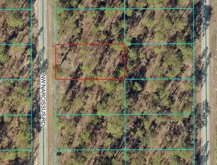 Dunnellon, FL 34431,TBD1 NW NARCISSUS RD