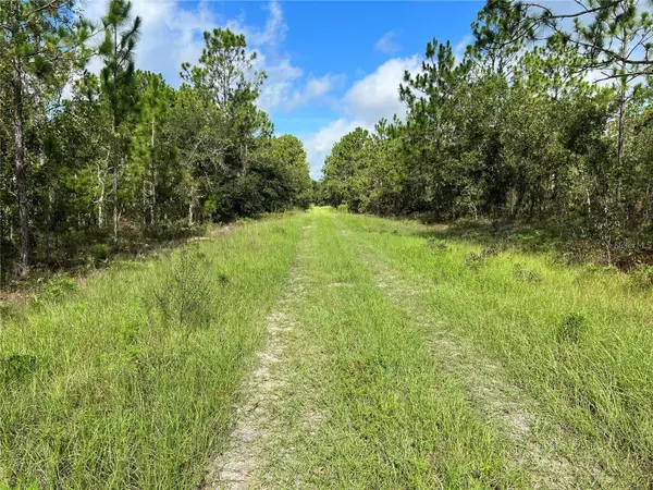 Dunnellon, FL 34432,TBD SW 93RD ST
