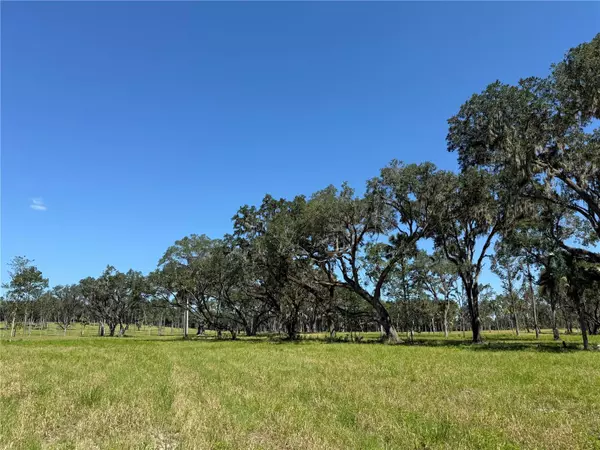 Micanopy, FL 32667,DO #6 (24ac) NW 193RD ST