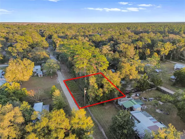 000 NE 131ST LN, Salt Springs, FL 32134