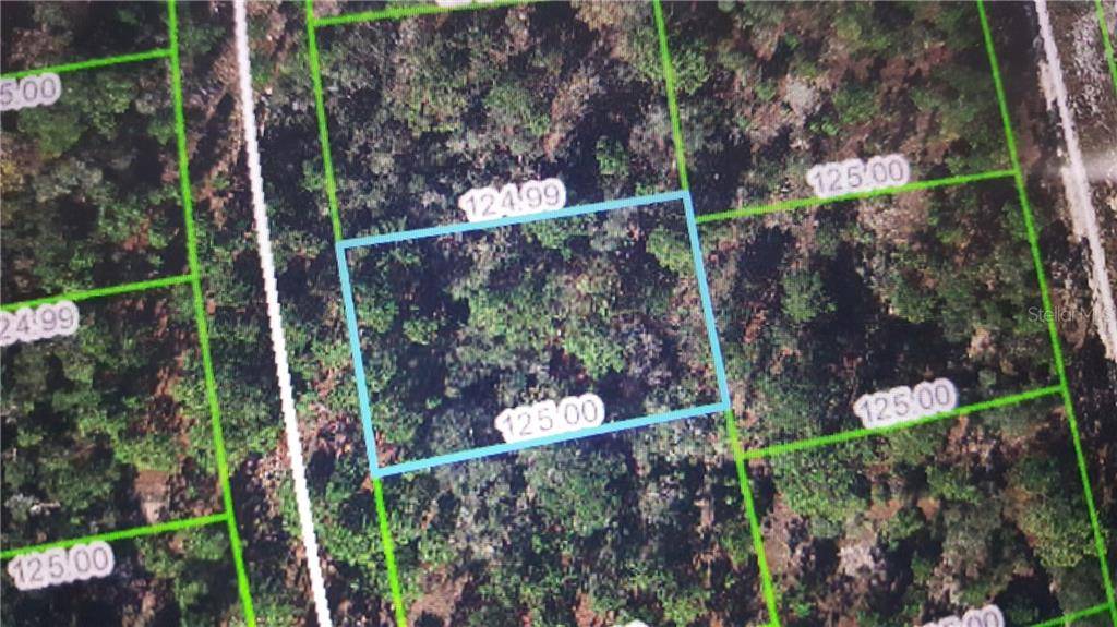 215 SUNFLOWER DR, Lake Placid, FL 33852