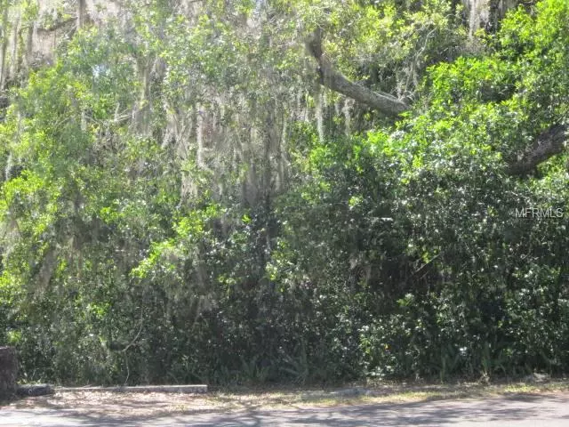 Lake Wales, FL 33898,SAINT ANNE SHRINE RD