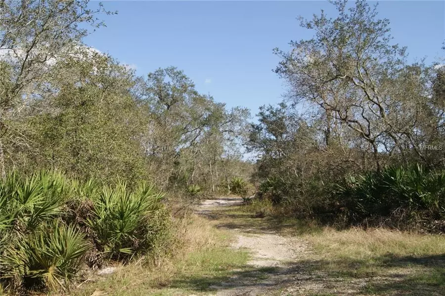 586 MOCKINGBIRD CT, Frostproof, FL 33843