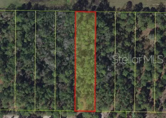 OSCEOLA POLK LINE RD, Davenport, FL 33896