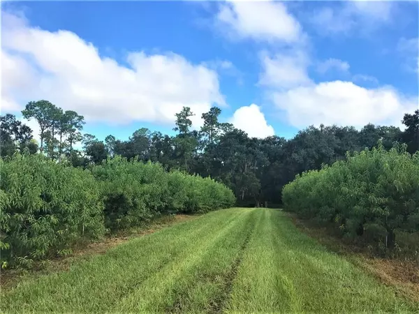 545 OLD BARTOW LAKE WALES RD, Bartow, FL 33830