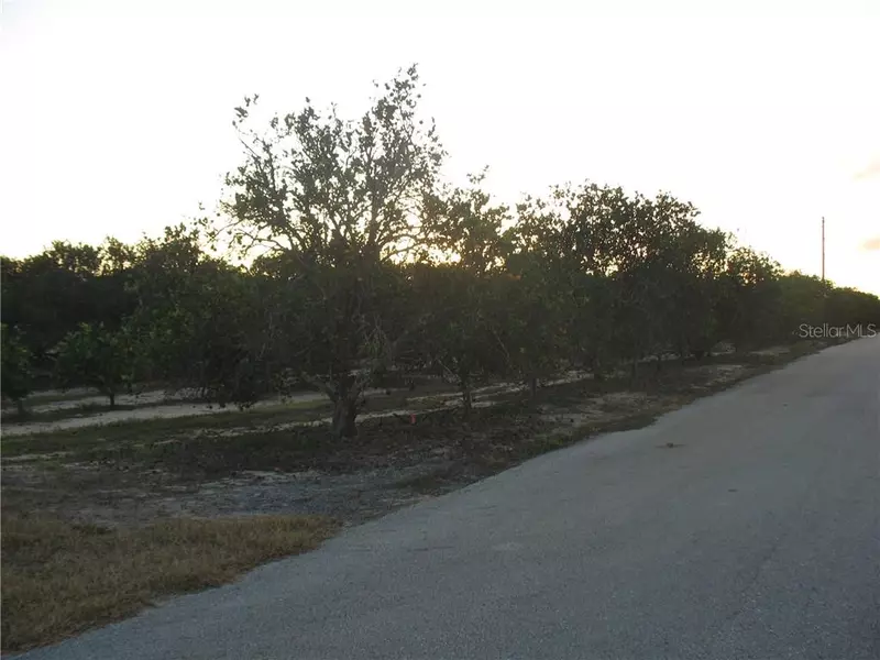 WHITE CLAY PIT RD, Haines City, FL 33844